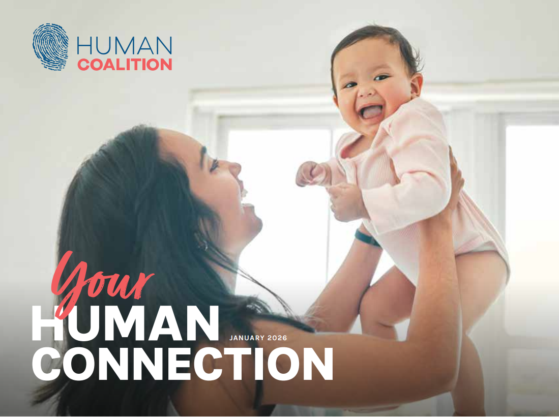 Screenshot 2026-01-26 134529